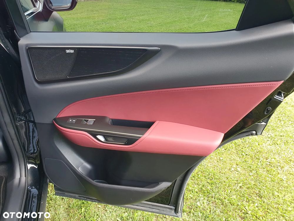 Lexus NX 450h+ Omotenashi AWD - 22