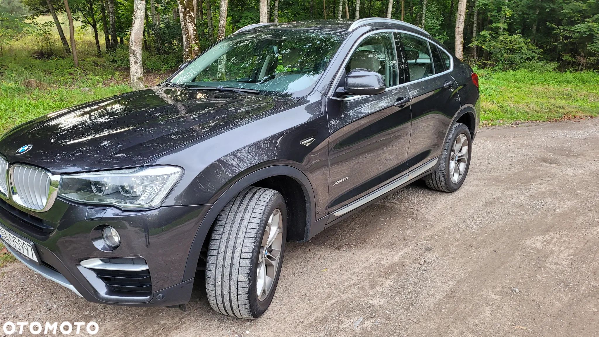 BMW X4 xDrive20i xLine - 1