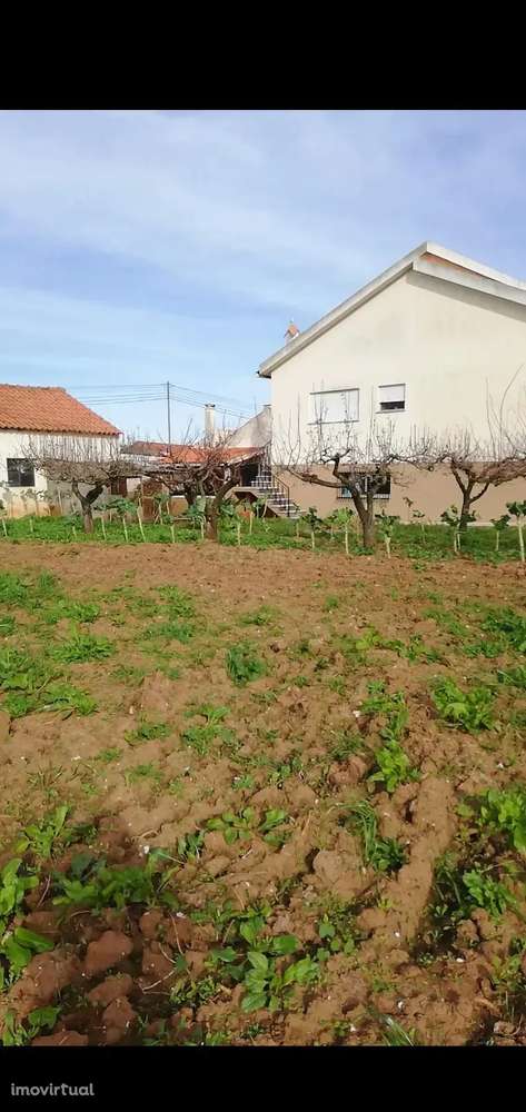 Terreno Urbano em Casais de Santa Teresa - Grande imagem: 2/3