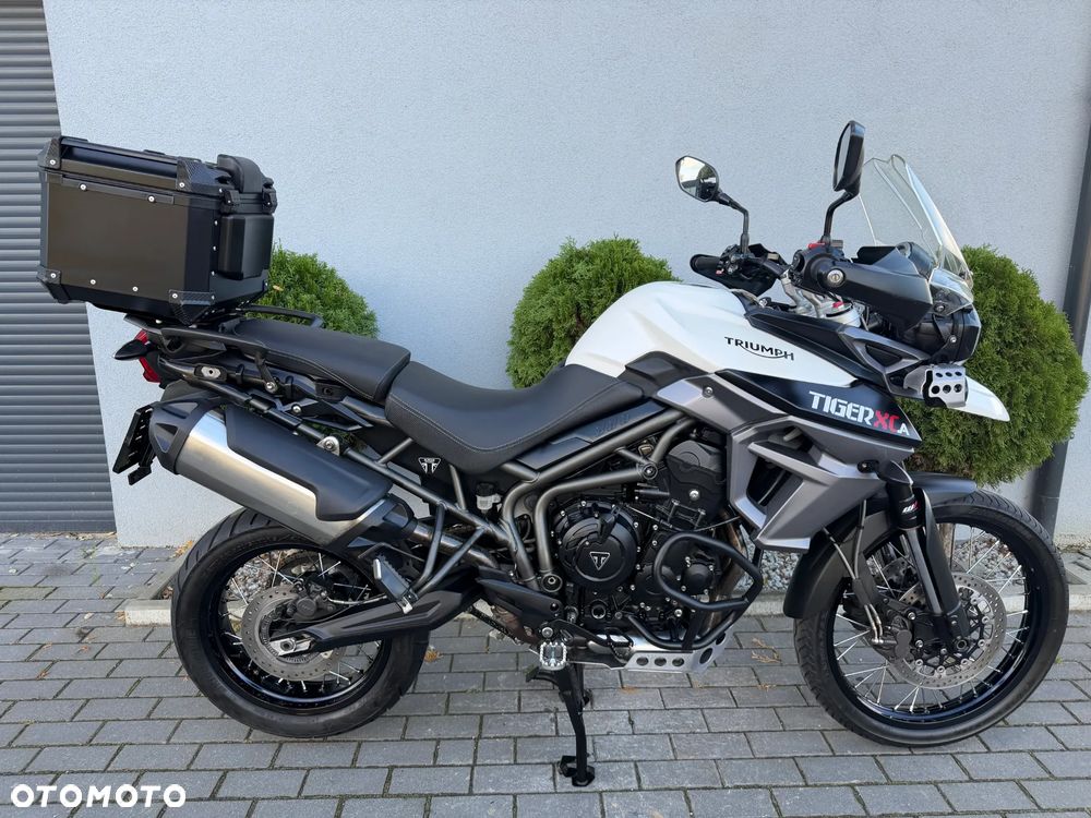 Triumph Tiger - 38