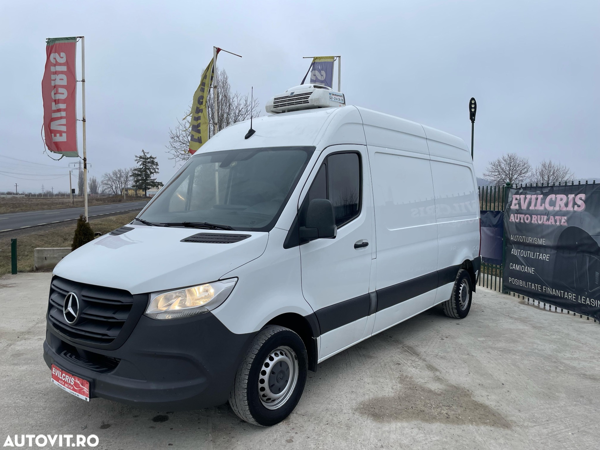 Mercedes-Benz Sprinter FRIGORIFIC THERMO KING - 26