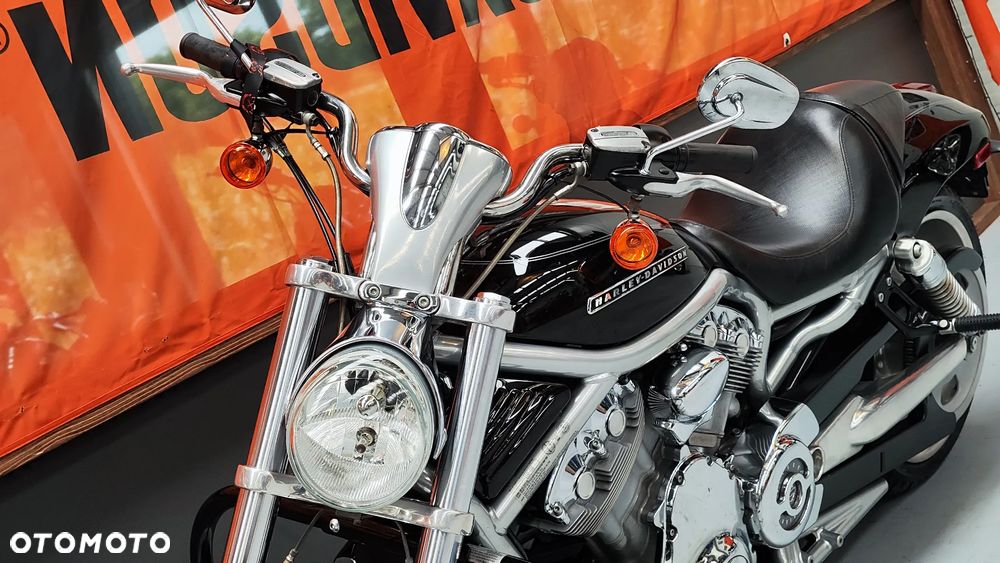 Harley-Davidson Softail V-Rod - 18