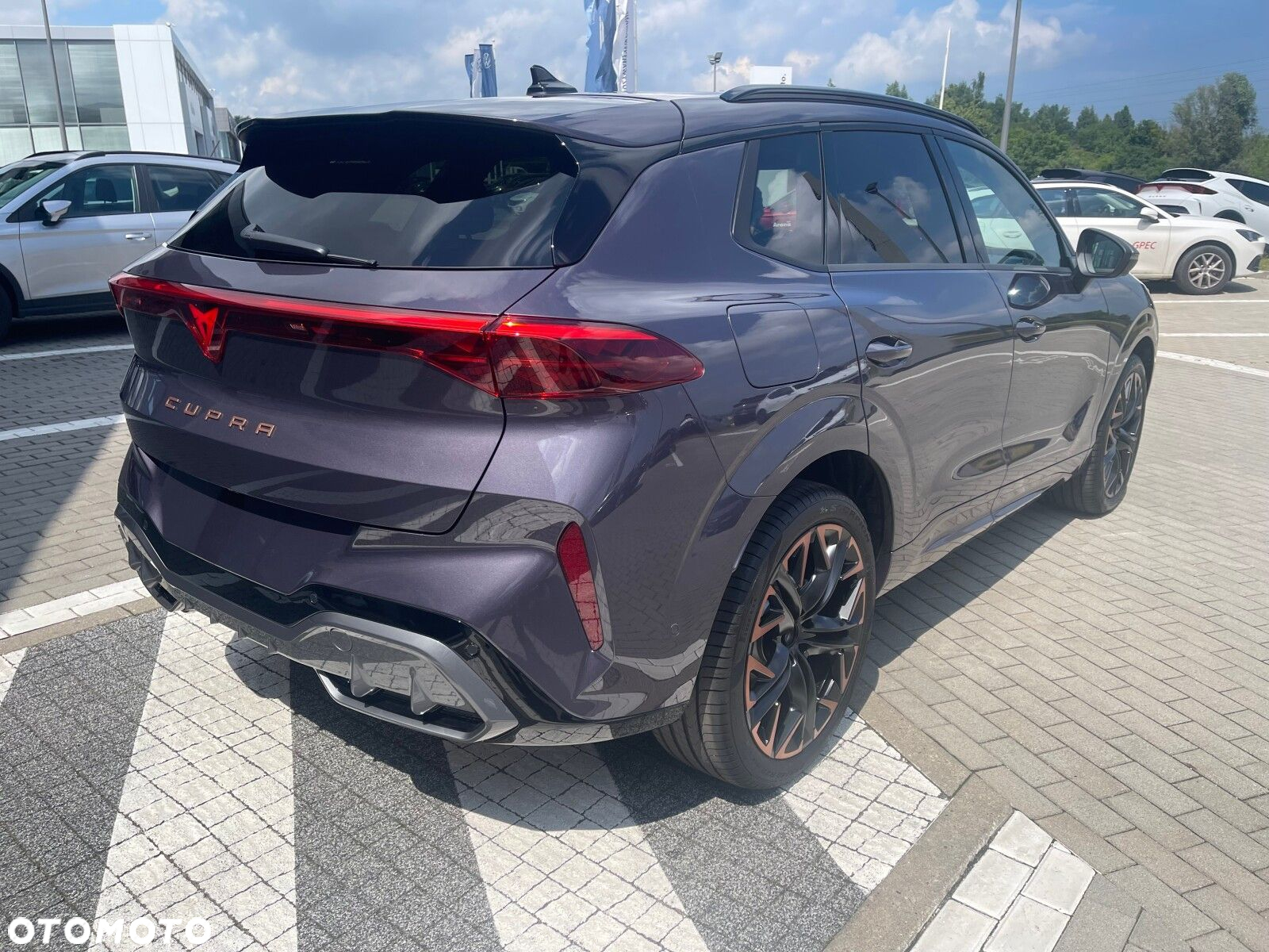 Cupra Terramar - 8