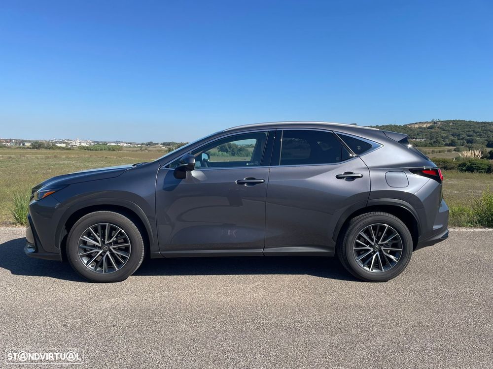 Lexus NX 450h+ Executive Plus - 9