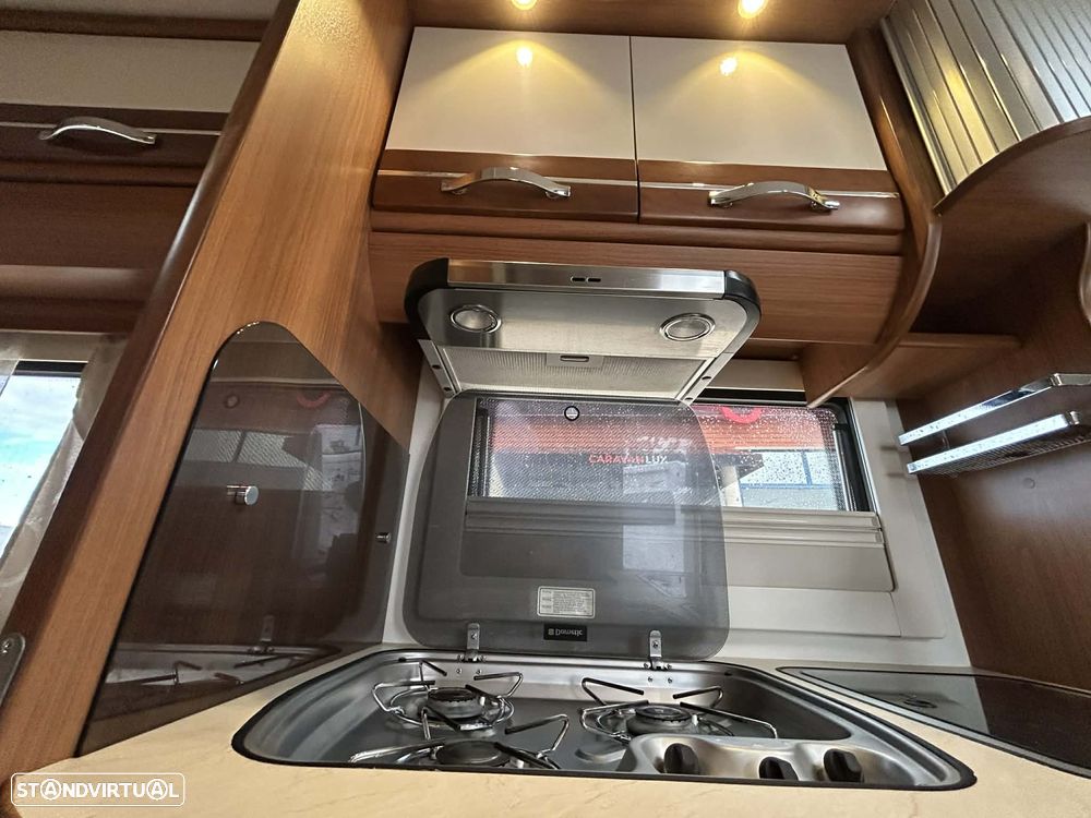 Fleurette Migrateur 63LG - 19