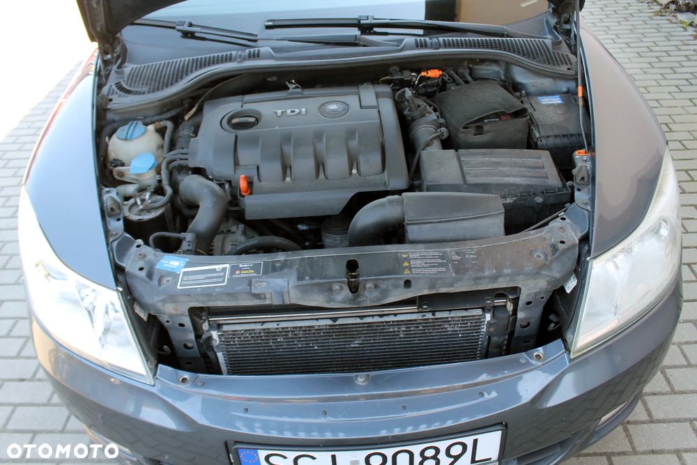Skoda Octavia 1.9 TDI DPF Ambiente 4x4 - 22