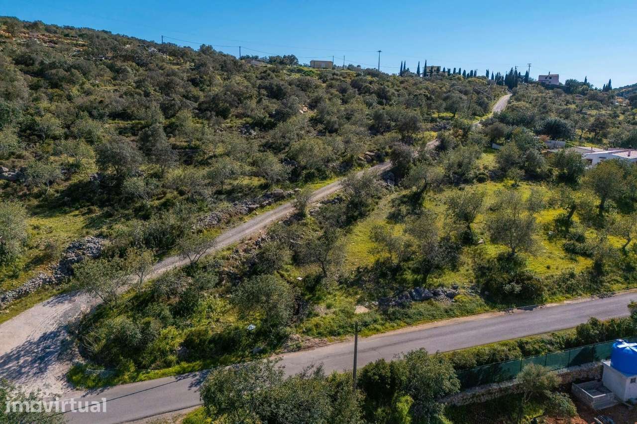 Terreno rustico com 9560m2, localizado em Azinheiro. - Grande imagem: 2/16