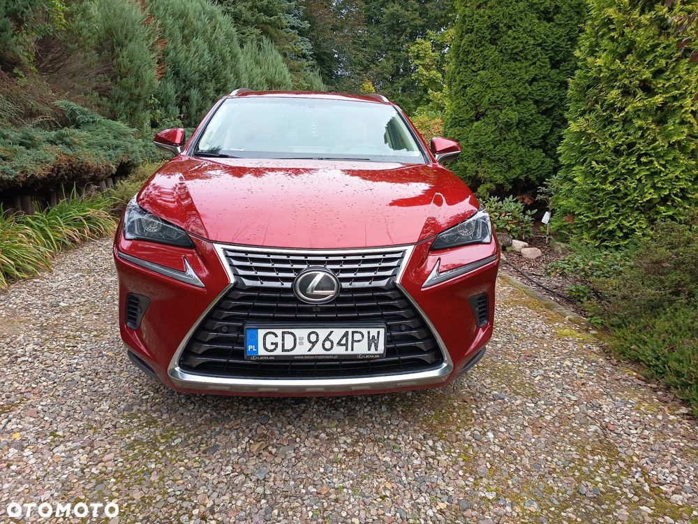 Lexus NX 300 Comfort AWD - 3