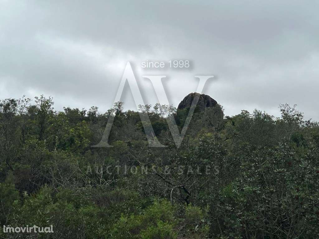 Terreno Rústico - Loulé |LEILÃO ELETRÓNICO| FIM 25*MAI - Grande imagem: 4/5