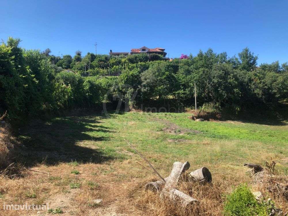 Terreno sito em Várzea, Aliviada e Folhada - Grande imagem: 2/11