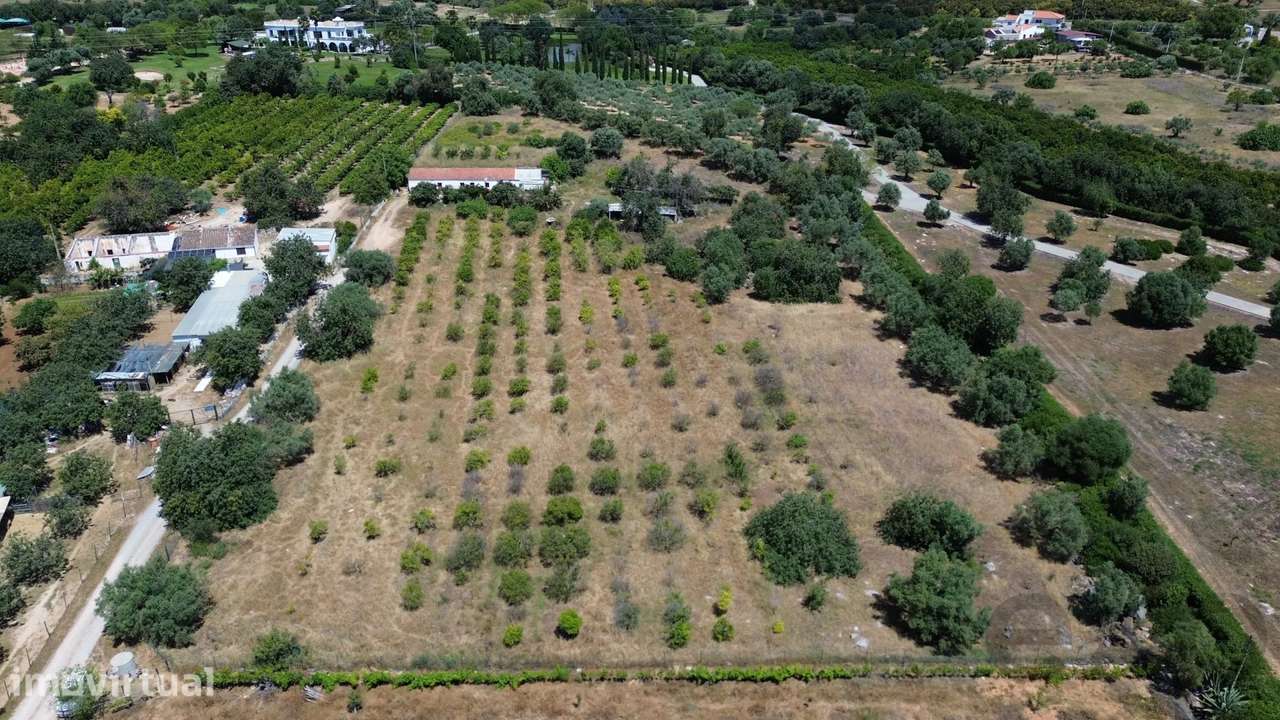 Quinta de 6 assoalhadas com 1,5 hectares de terreno e vista mar - Grande imagem: 2/49