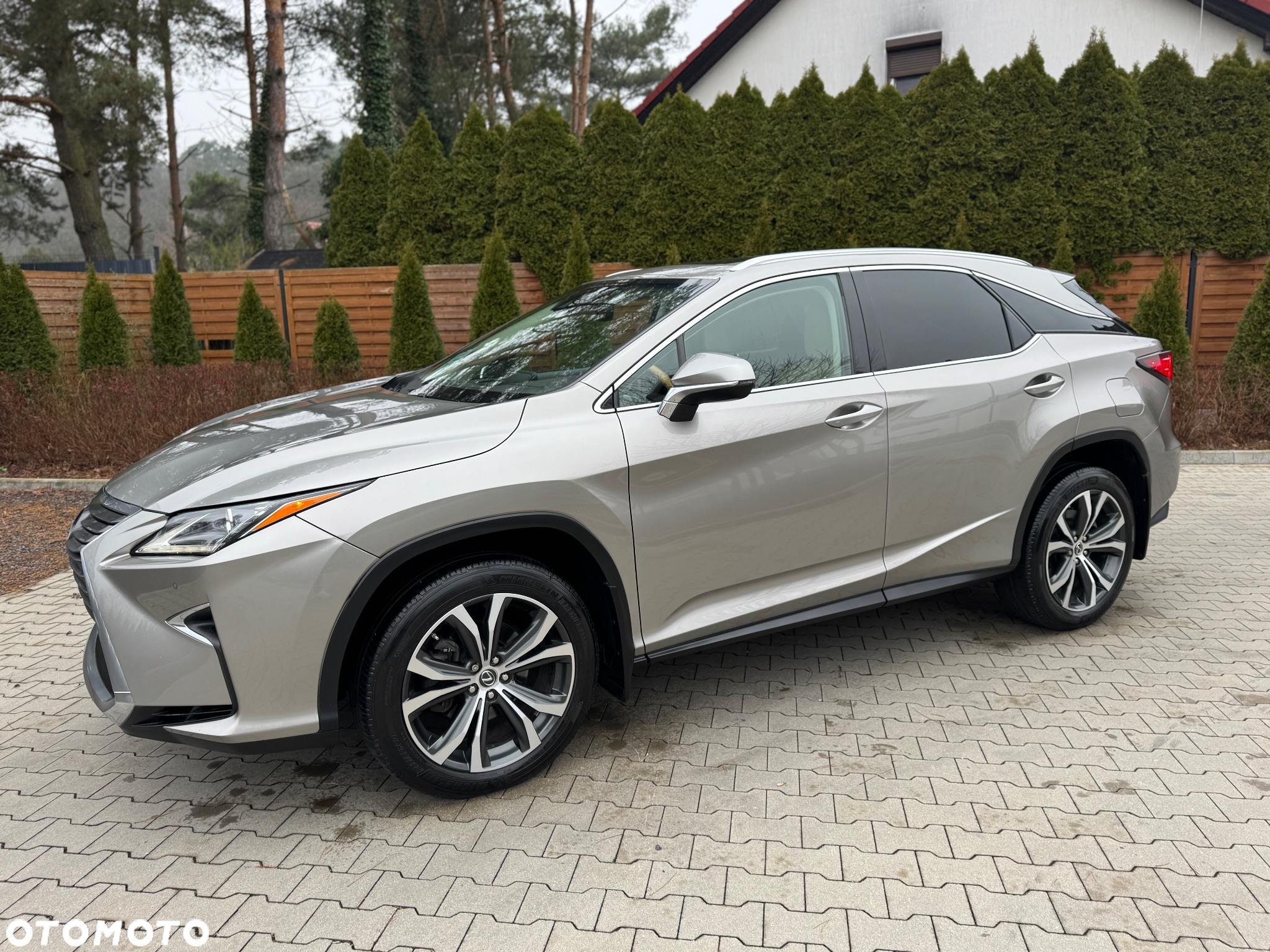 Lexus RX - 11