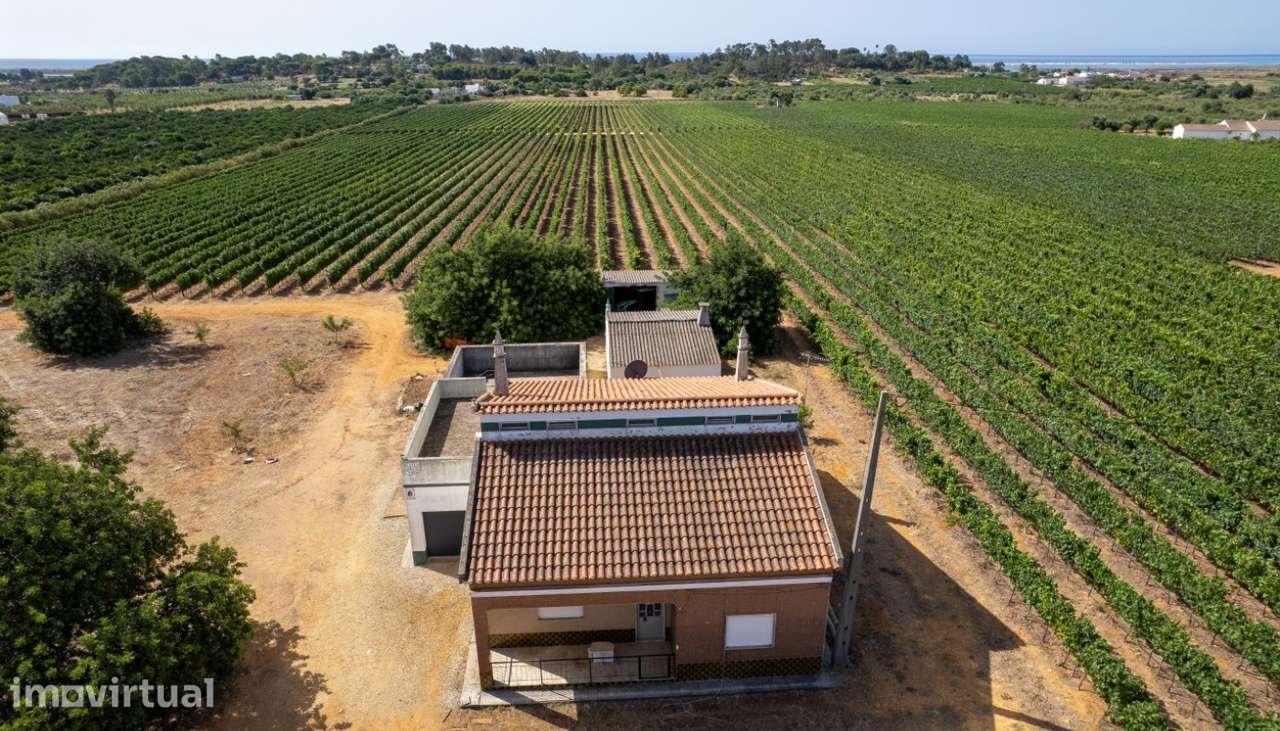 Espetacular Quinta vinícola, à venda em Tavira, Algarve - Grande imagem: 3/6