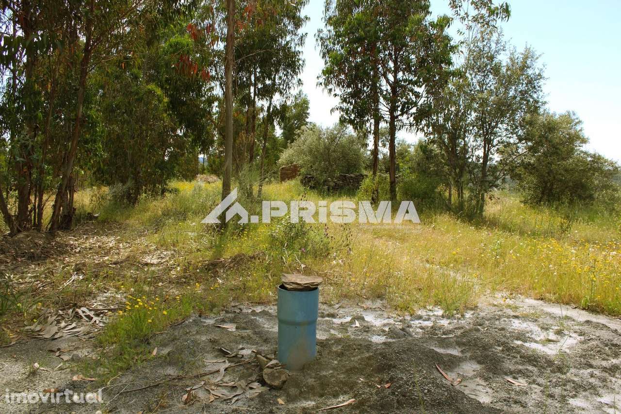 Quinta para Venda em União de Freguesias de Escalos de Baixo e Mata - Grande imagem: 2/18