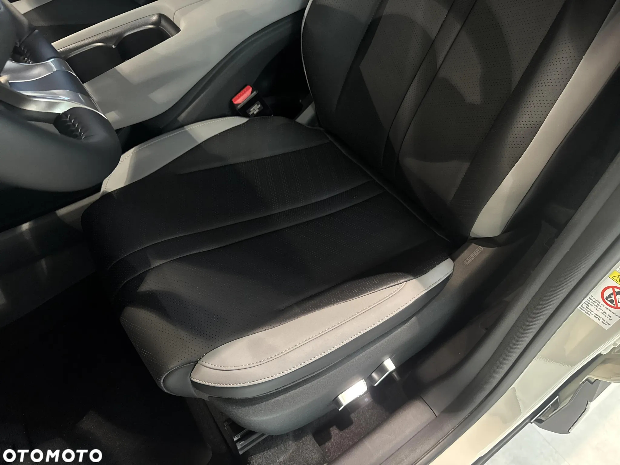 BYD Dolphin Mini - 12