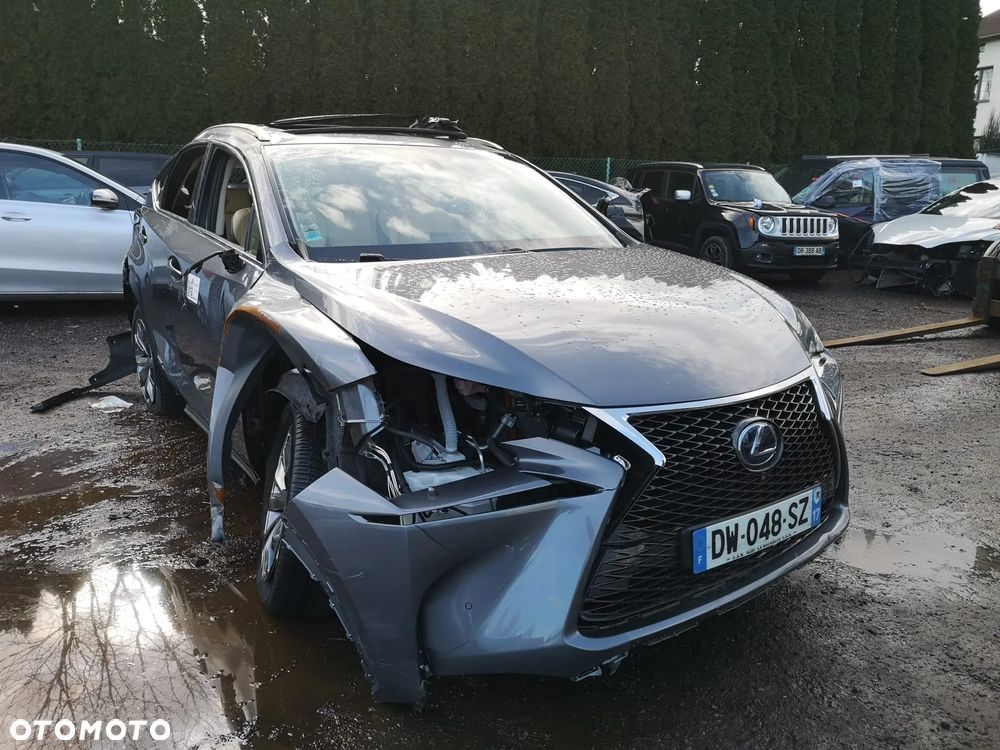 Lexus NX 300h E-FOUR Executive Line - 23