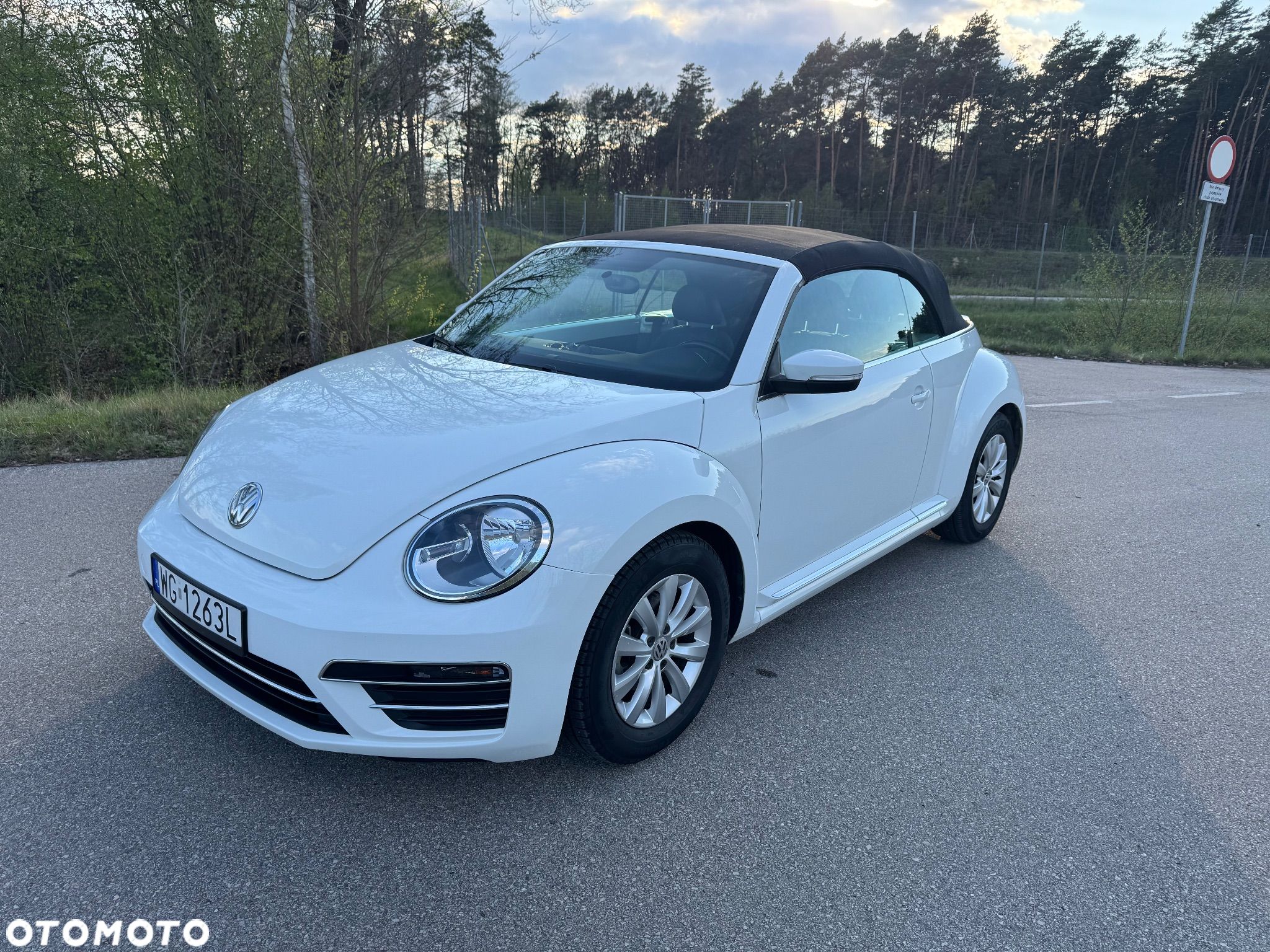 Volkswagen Beetle - 1