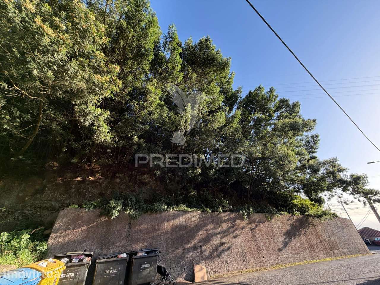 Terreno  para um projeto de Turismo Rural, bangalôs. - Grande imagem: 5/17