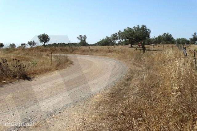 Terreno com 9.74 ha, junto à Barragem Monte da Rocha - Ourique - Grande imagem: 5/7