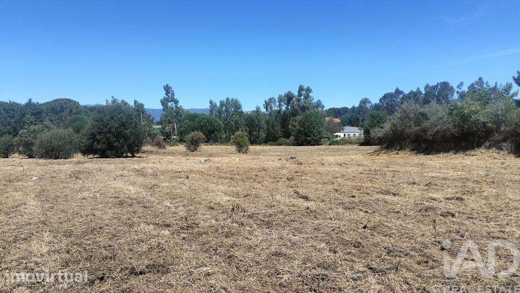 Terreno Agrícola em Canas de Santa Maria - Grande imagem: 3/28