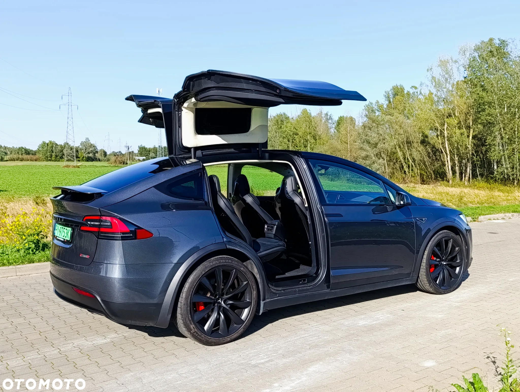 Tesla Model X Performance - 16