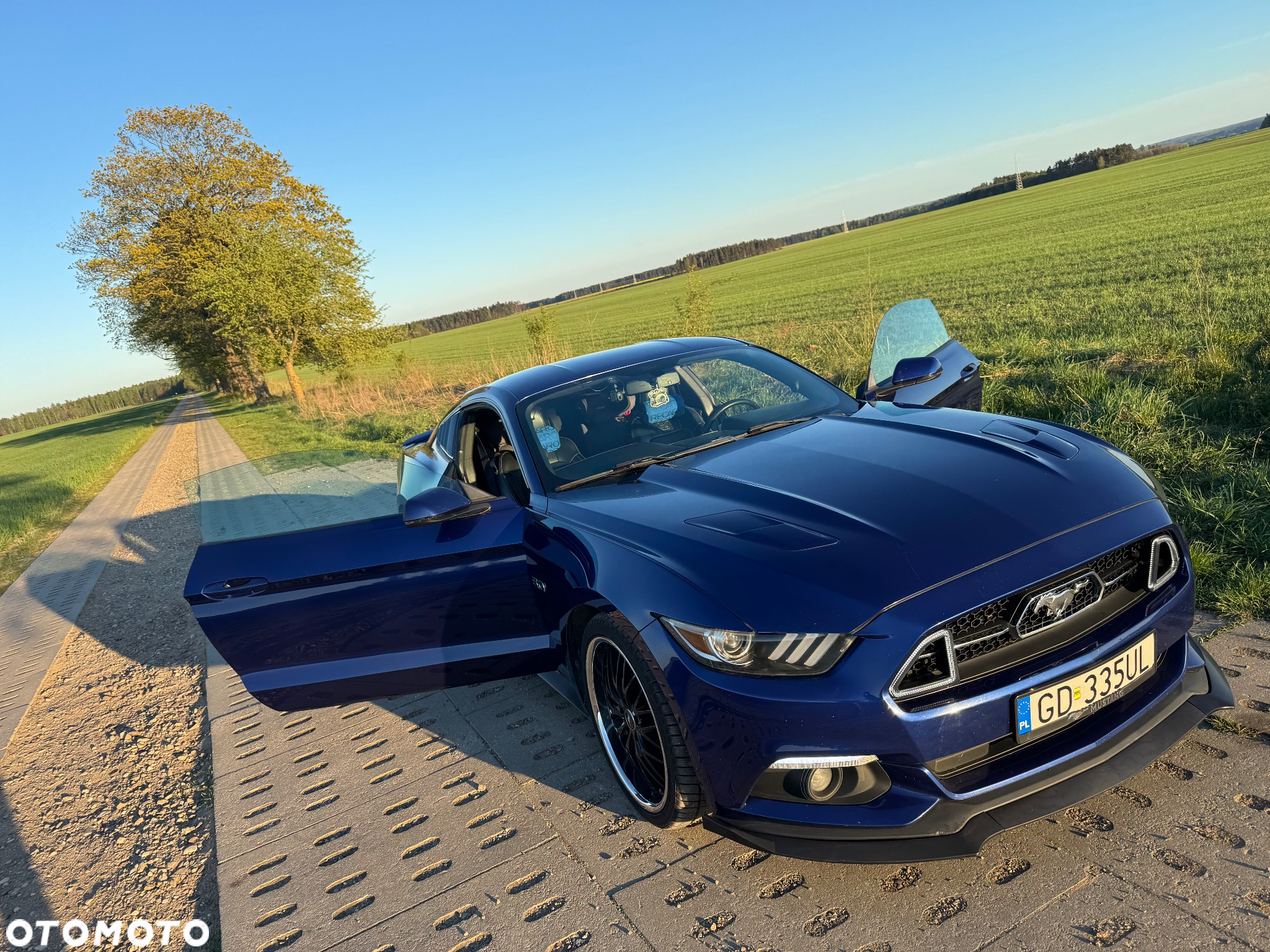 Ford Mustang 5.0 V8 GT - 12