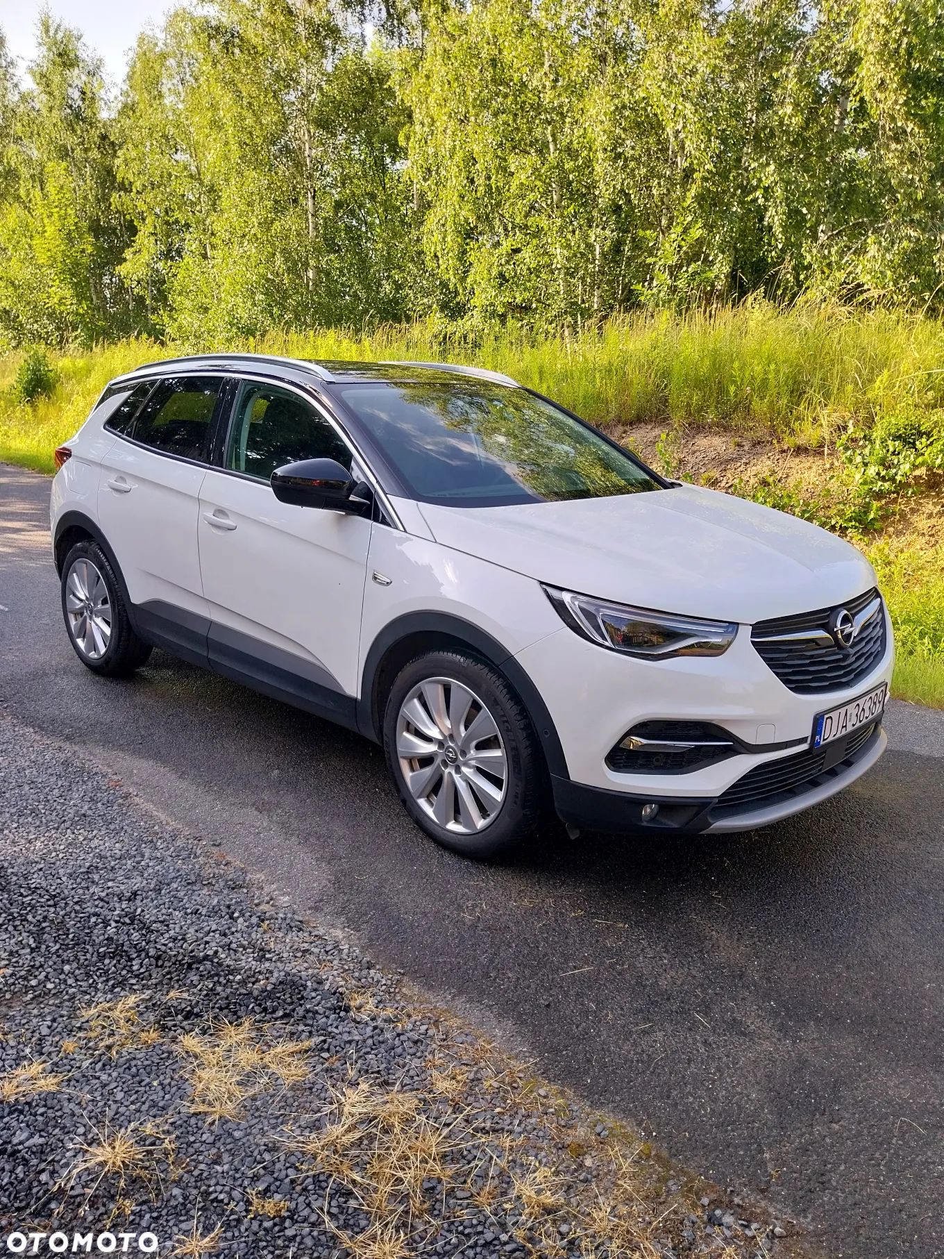 Opel Grandland X - 1