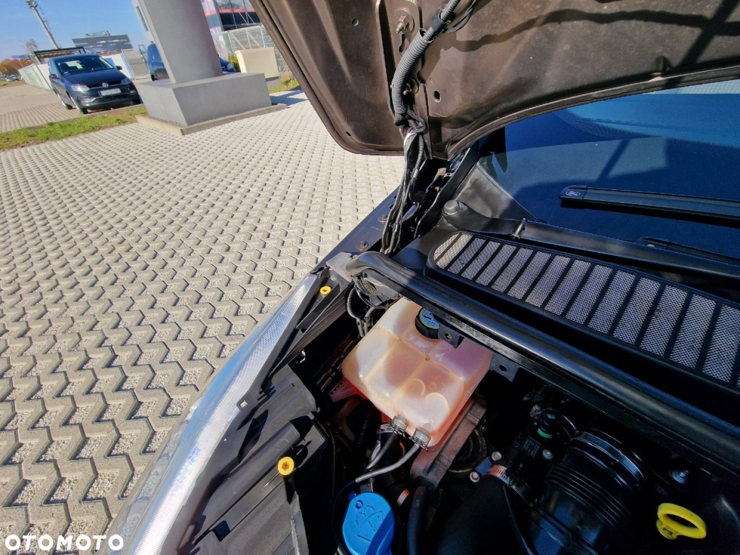 Ford C-MAX - 30