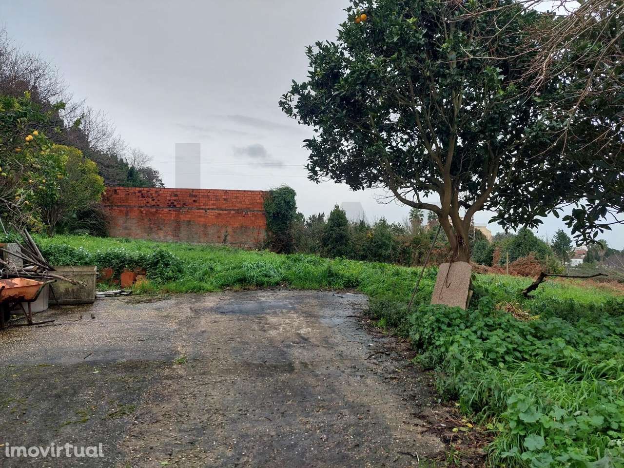 Moradia T2 Térrea com Terreno de 1.200 m2 em Esmoriz – Ovar - Grande imagem: 3/16