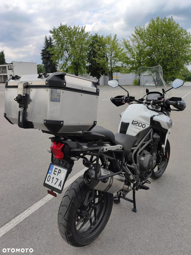 Triumph Tiger - 25