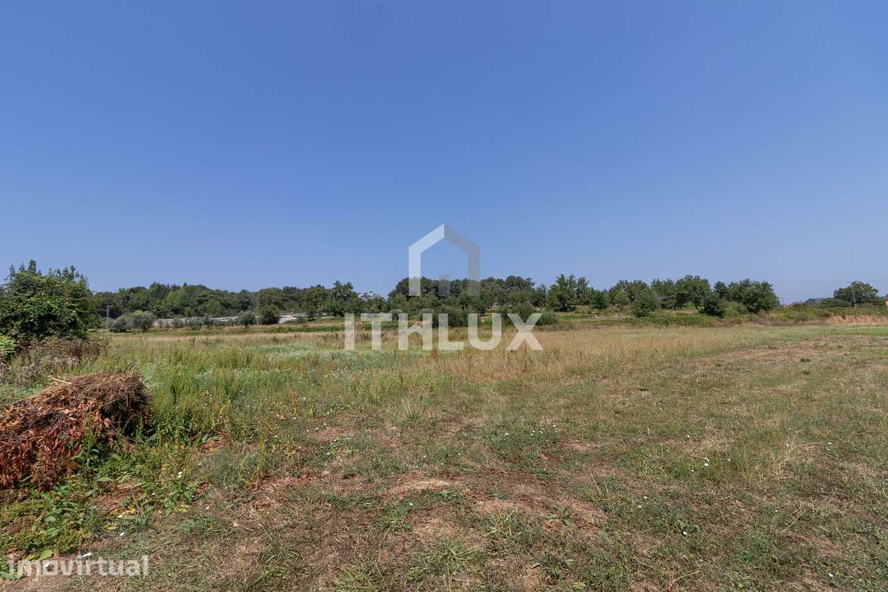 Terreno em Sabugosa - Tondela - Grande imagem: 4/8