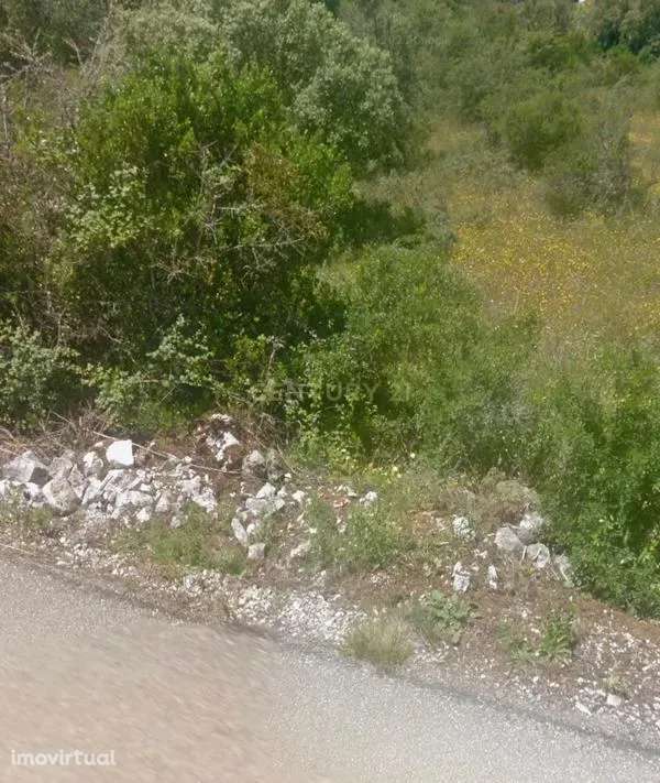 Terreno Rústico Alcaria - Grande imagem: 2/10