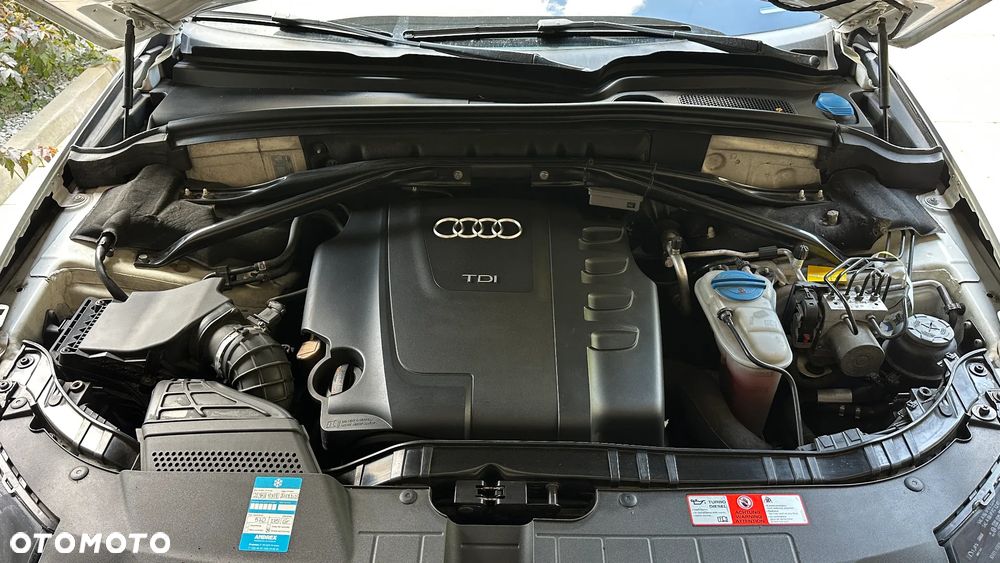 Audi Q5 - 17