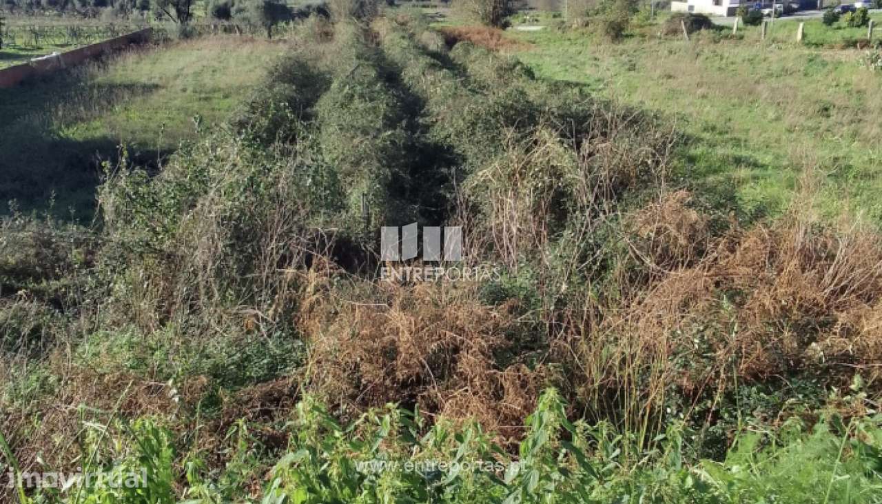 Venda de Terreno para construção, Deocriste, Viana do Castelo. - Grande imagem: 3/29