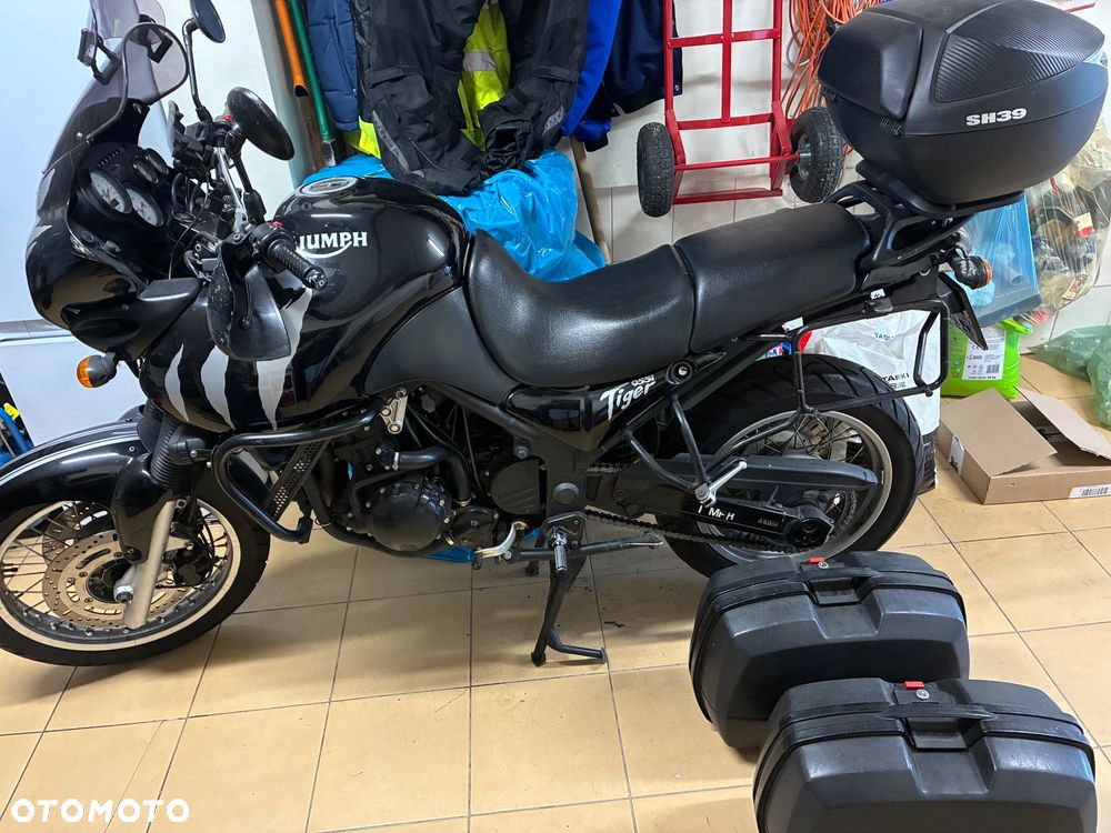 Triumph Tiger - 11