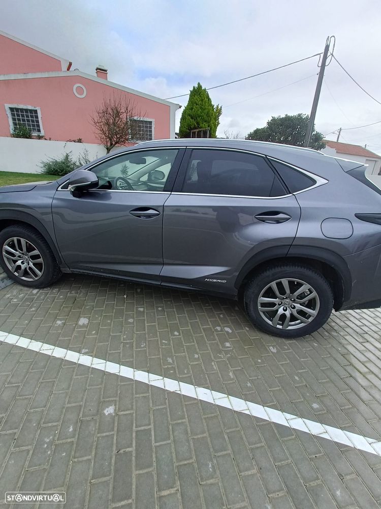 Lexus NX 300h Executive+ - 2