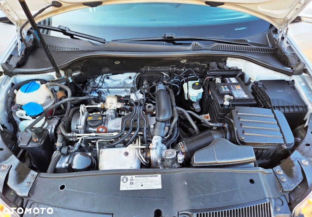 Volkswagen Golf - 16