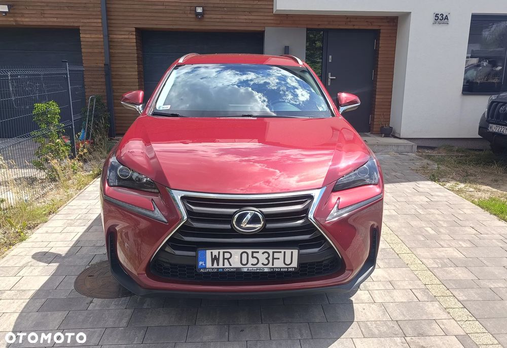 Lexus NX 300h Elite AWD - 9