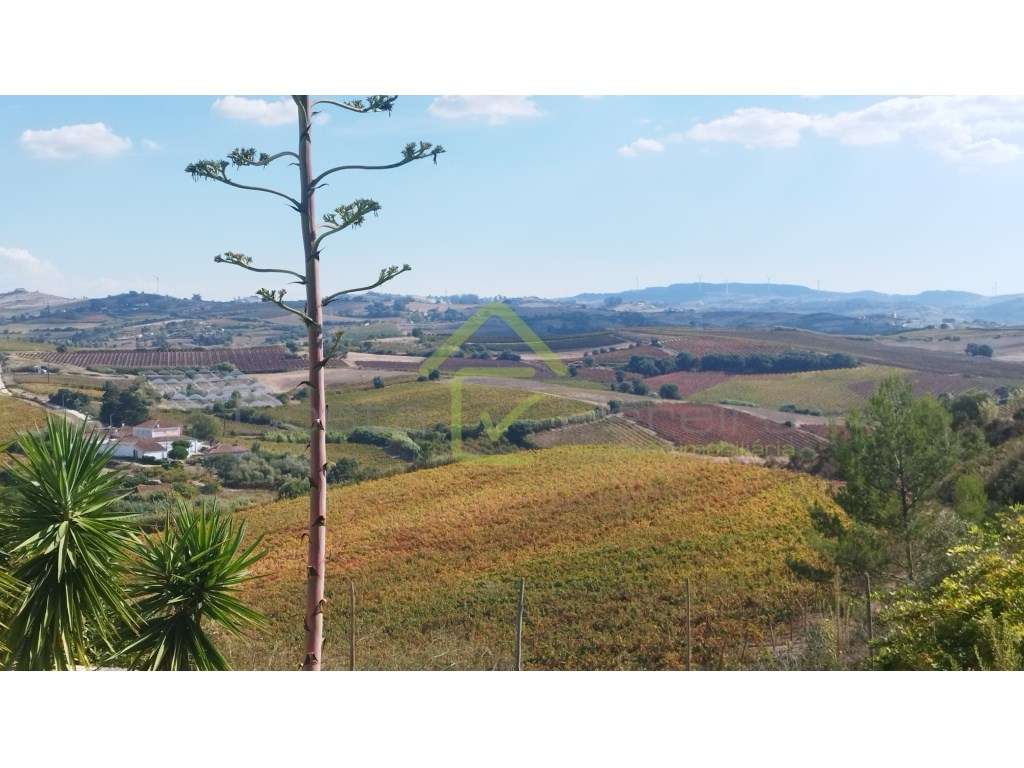 Lote de terreno em Outeiro da Zibreira - Grande imagem: 5/6