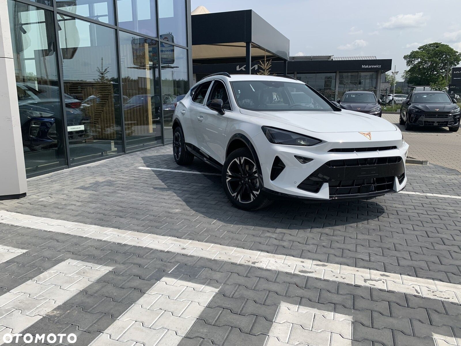 Cupra Formentor 1.5 TSI - 3