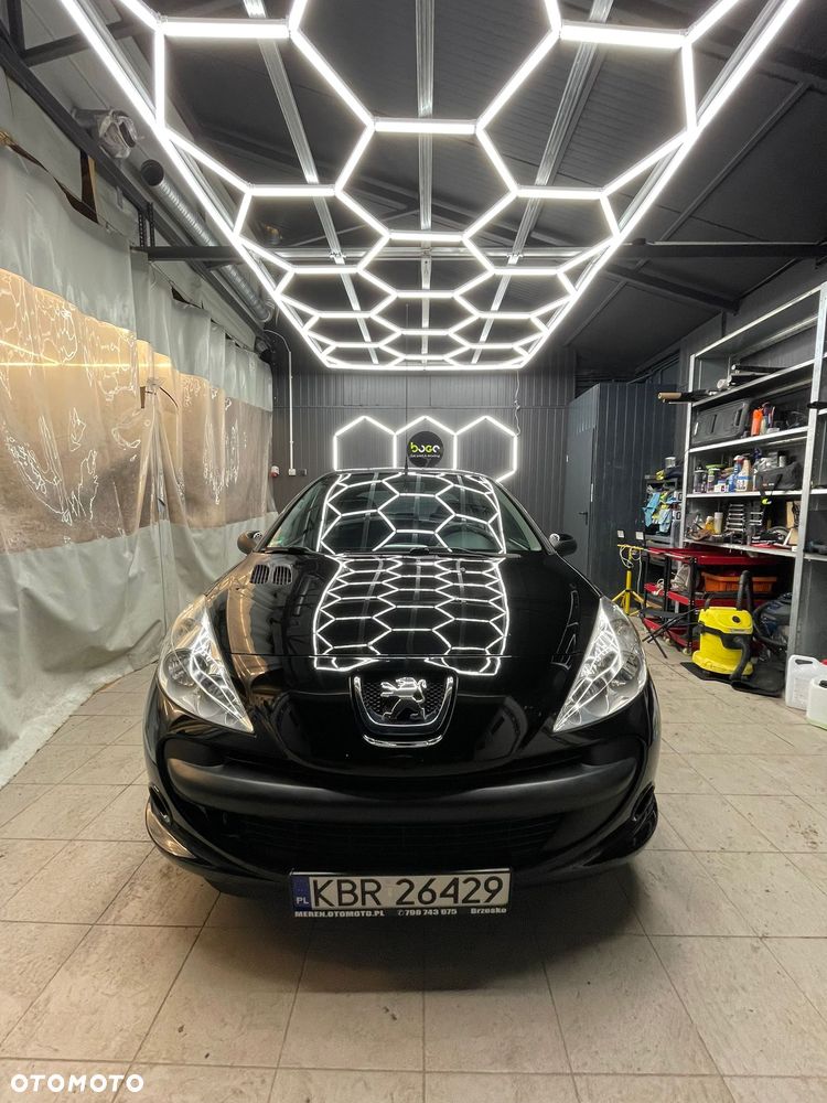 Peugeot 206 plus 60 - 8