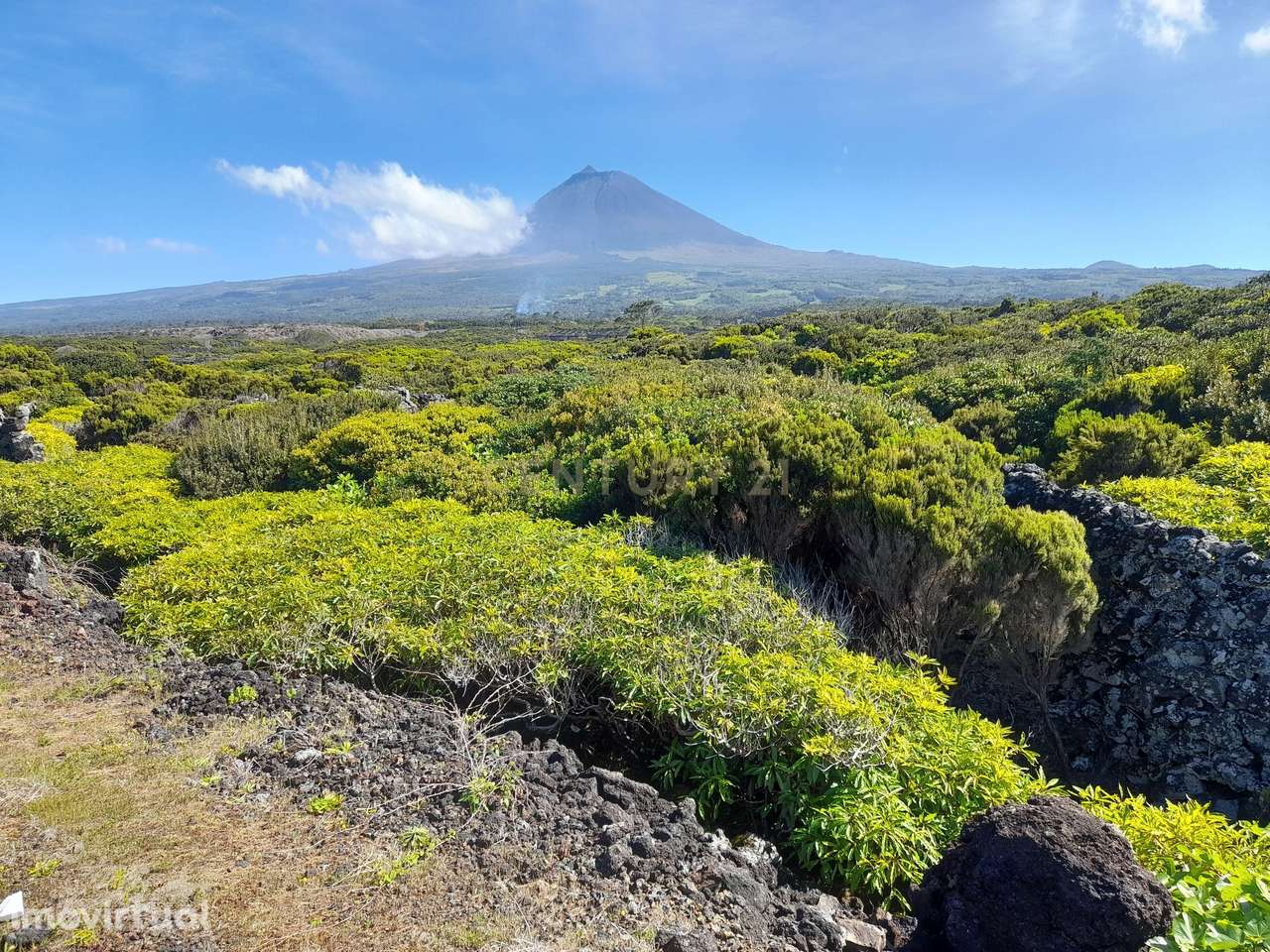 Terreno rústico com vista mar e montanha - Grande imagem: 3/6