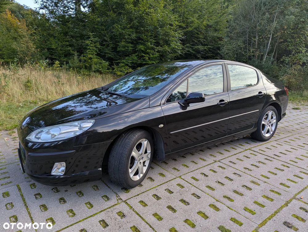 Peugeot 407 - 9