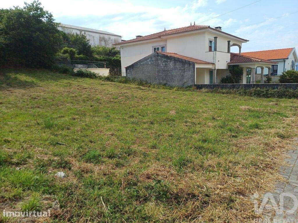 Terreno em Anha - Grande imagem: 5/6