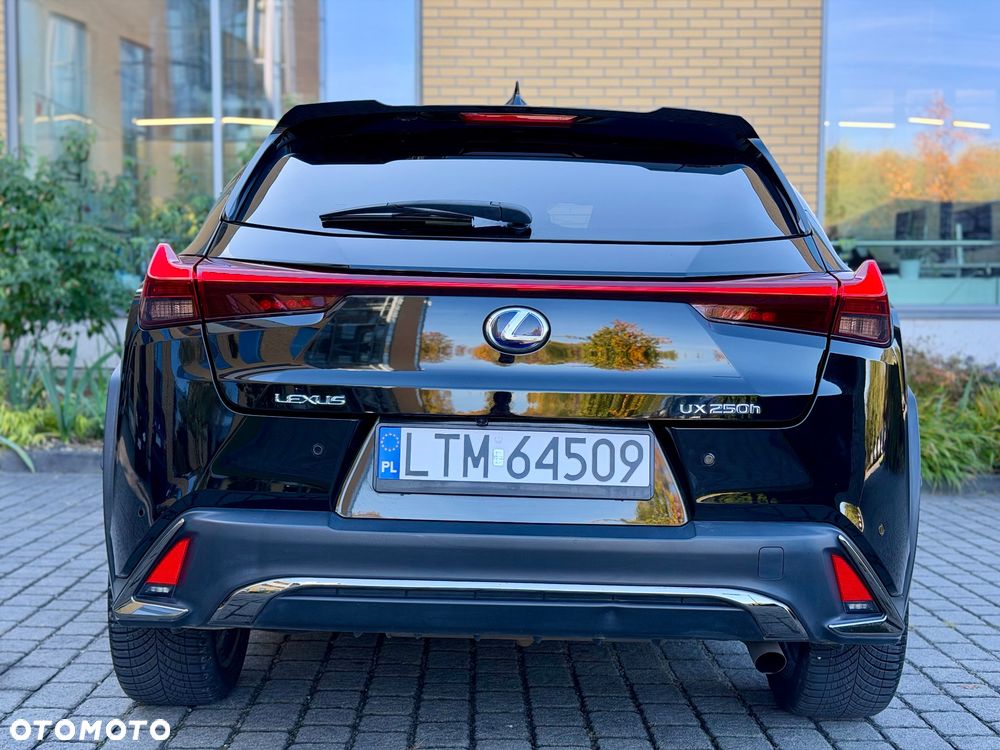 Lexus Ux 2020 photo 5