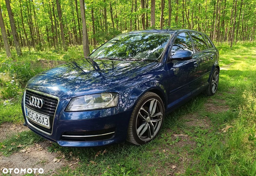Audi A3 Sportback 1.6 TDI DPF Ambition - 7