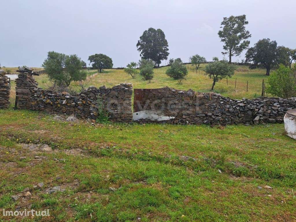 Terreno rustico em Santana de Cambas a 7kms de Mértola no Baixo Ale... - Grande imagem: 4/8