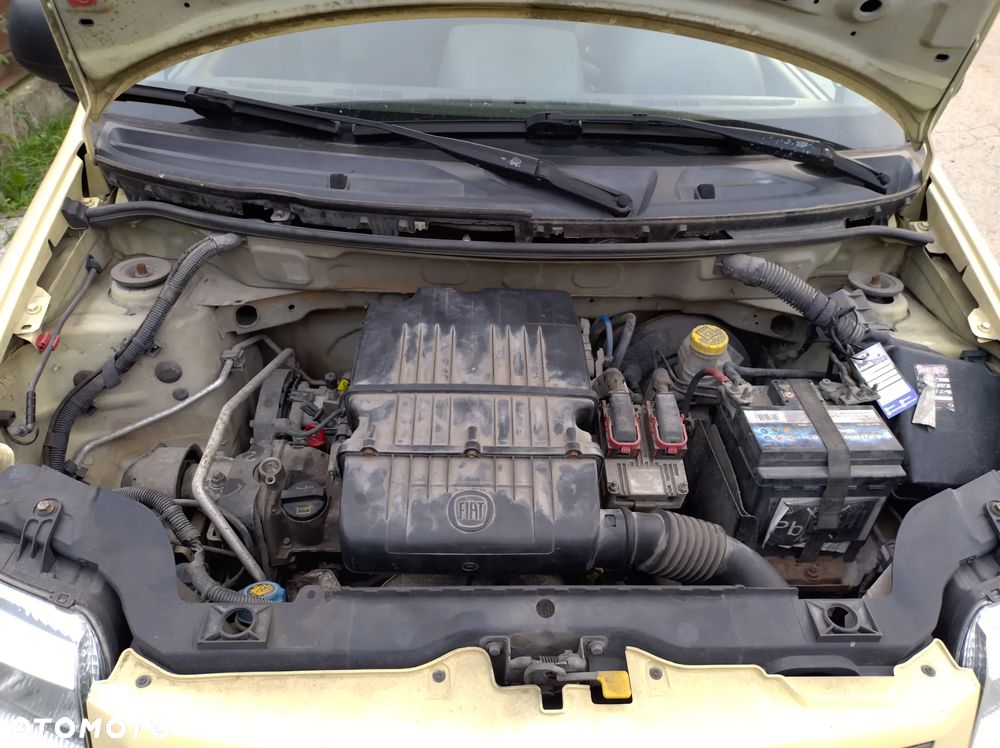 Fiat Panda 1.2 Mylife Eco - 16