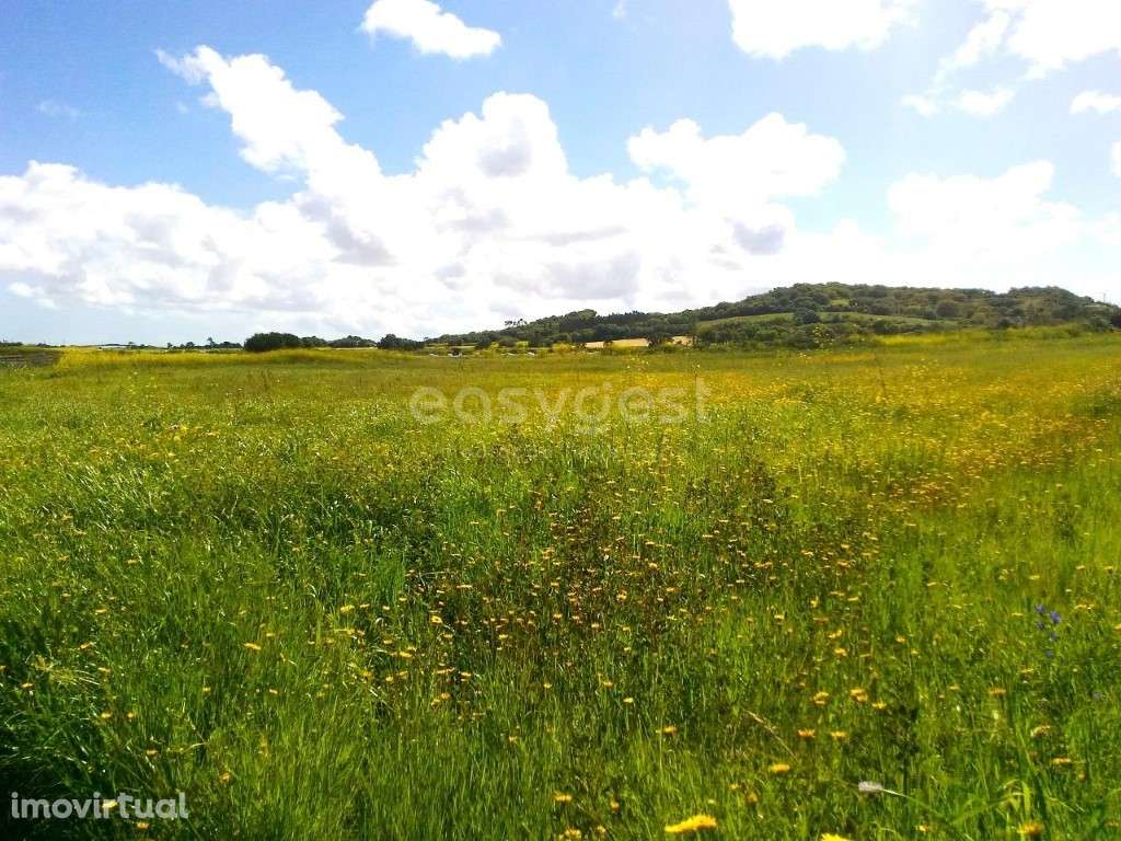 Terreno Rustico em Morelena, a apenas 2,5Km do centro de Pêro Pinheiro - Grande imagem: 4/9