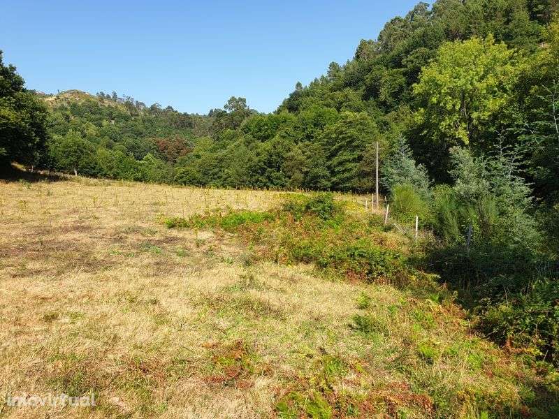 Campo com duas leiras encostado ao afluente do rio Ave - Grande imagem: 2/12